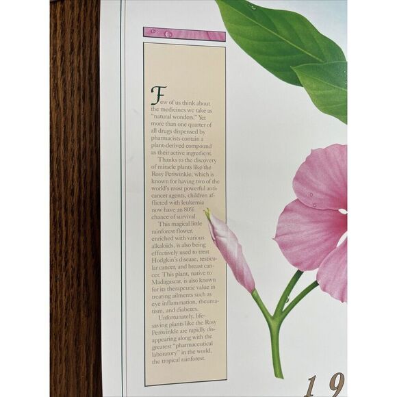 Vintage 1991 Rosy Periwinkle Pharmacy History Pharmacist Poster Afrin Promo - Picture 2 of 12
